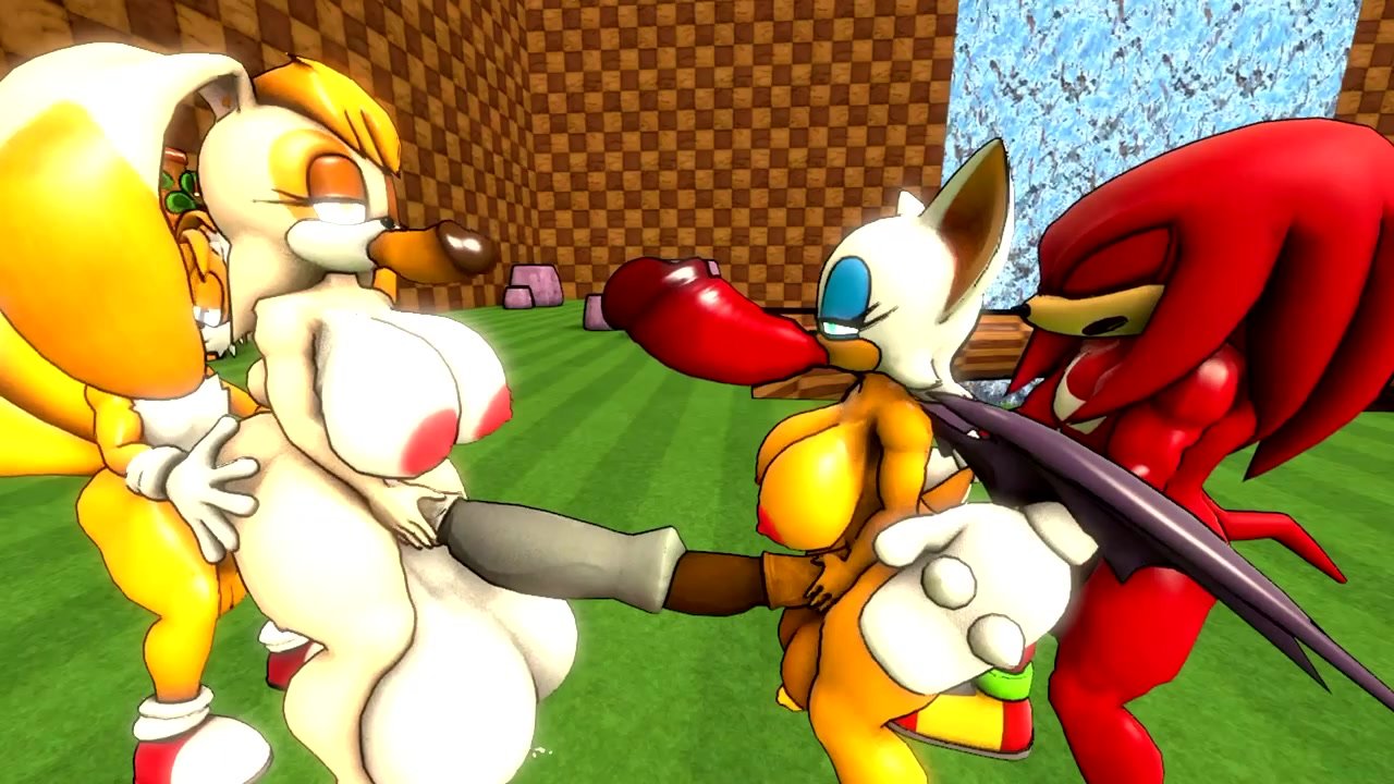 Tails, Vanilla, Knuckles & Rouge