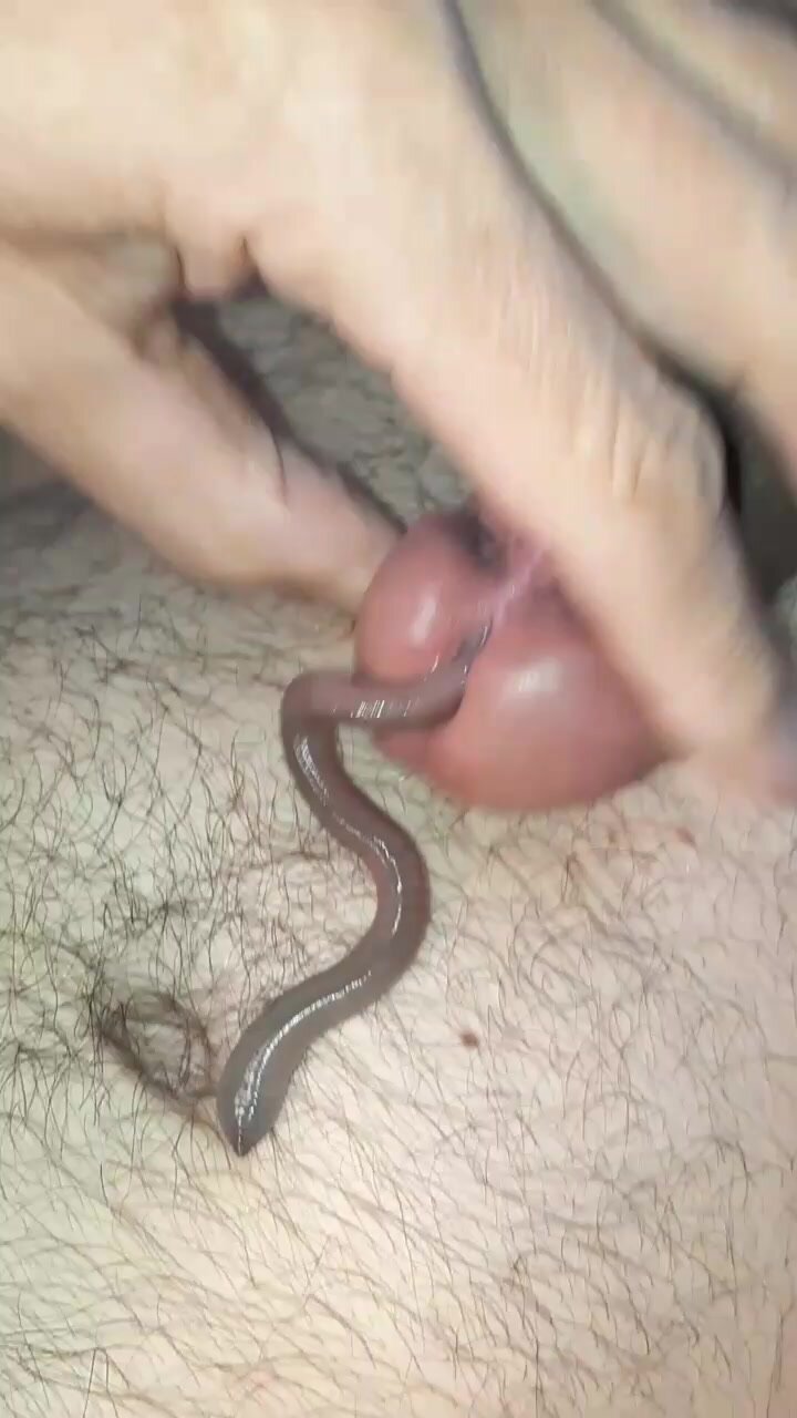 Big worm in my cock