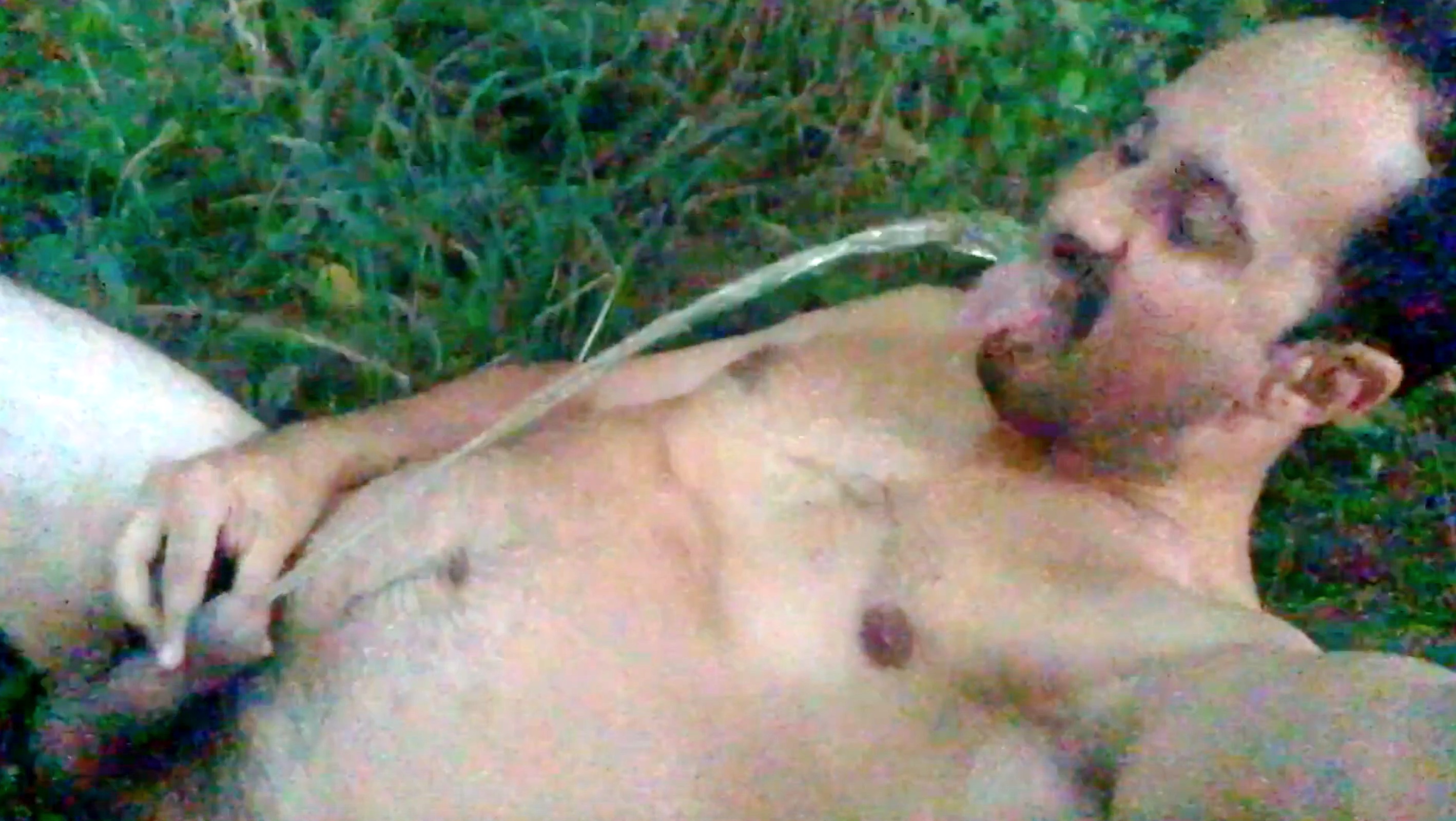 Pup Balto Ordered to Shower in the Woods