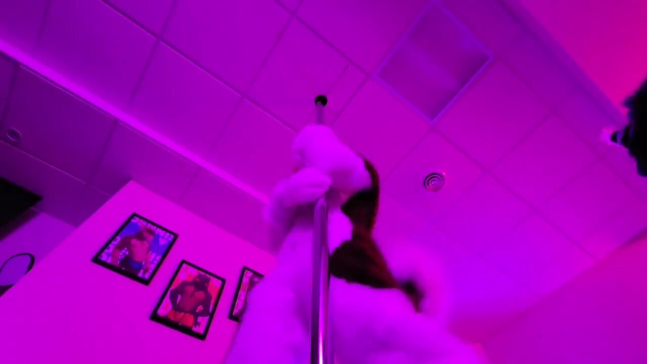 Fursuit pole dancing