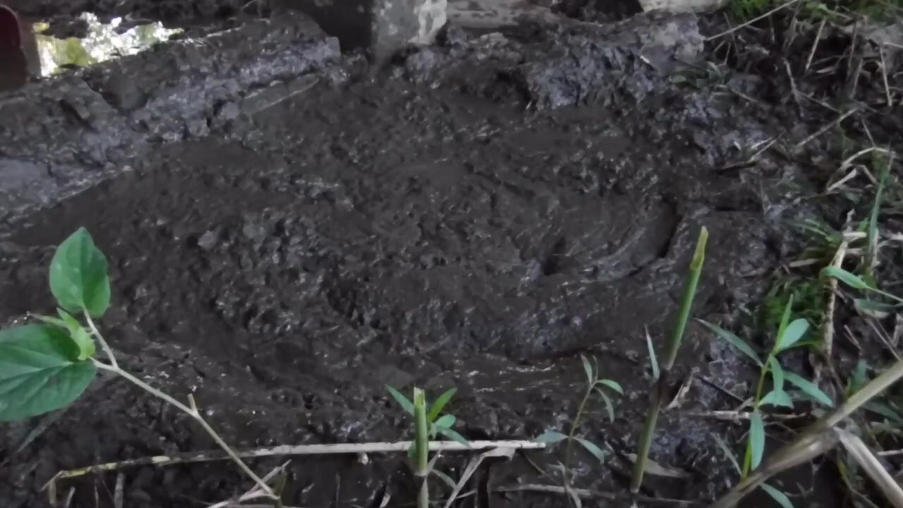 Mud dive - video 2