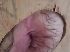 gloryhole pink hairy arse hole milks cock