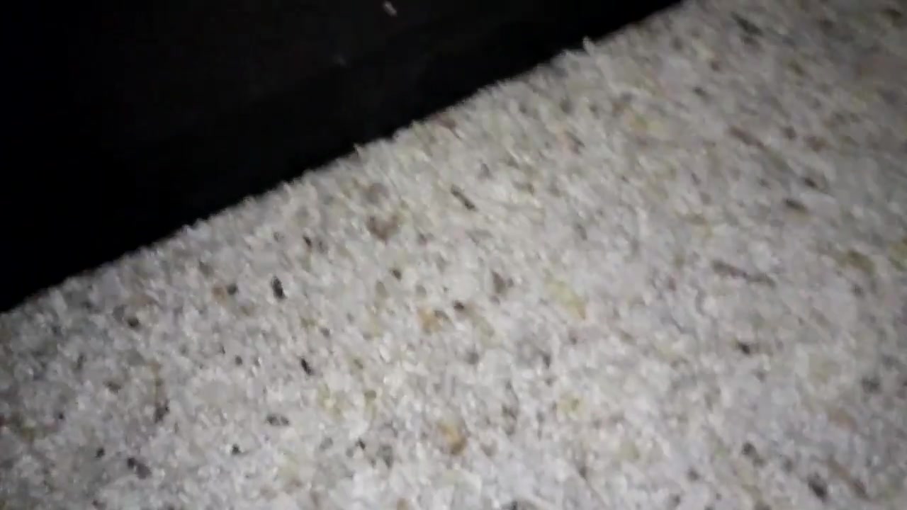 20170129_050234.mp4