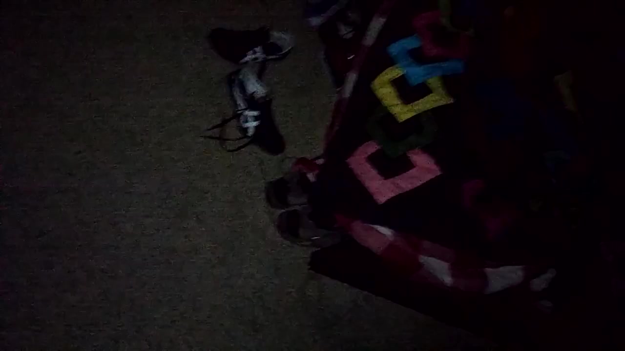 20170129_054125.mp4