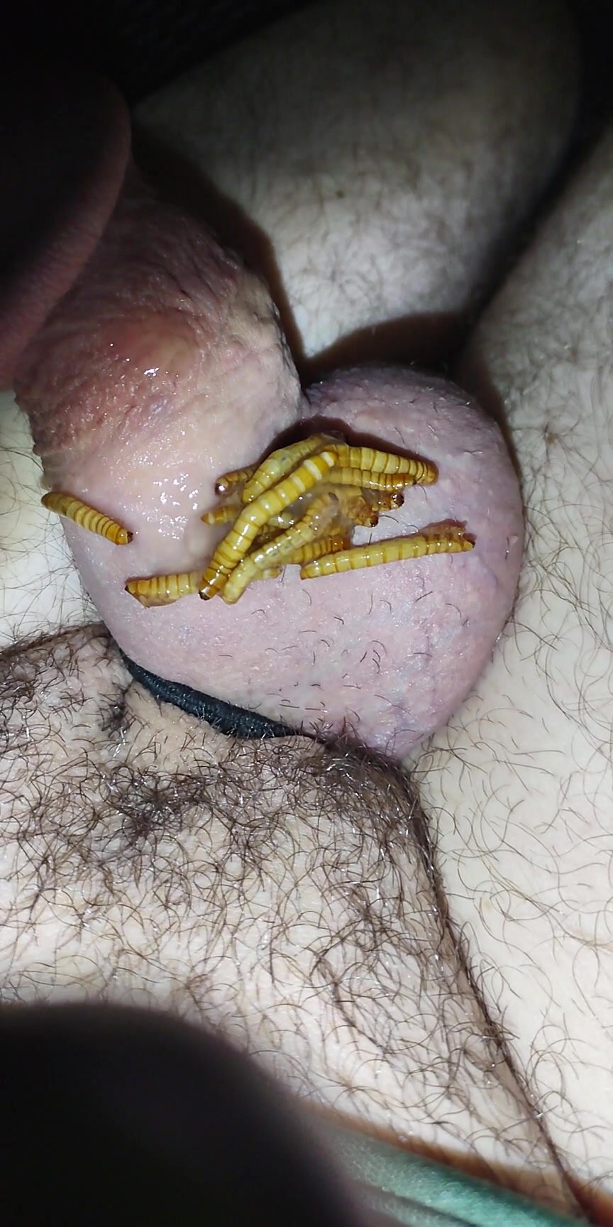 Dickworm as Requested