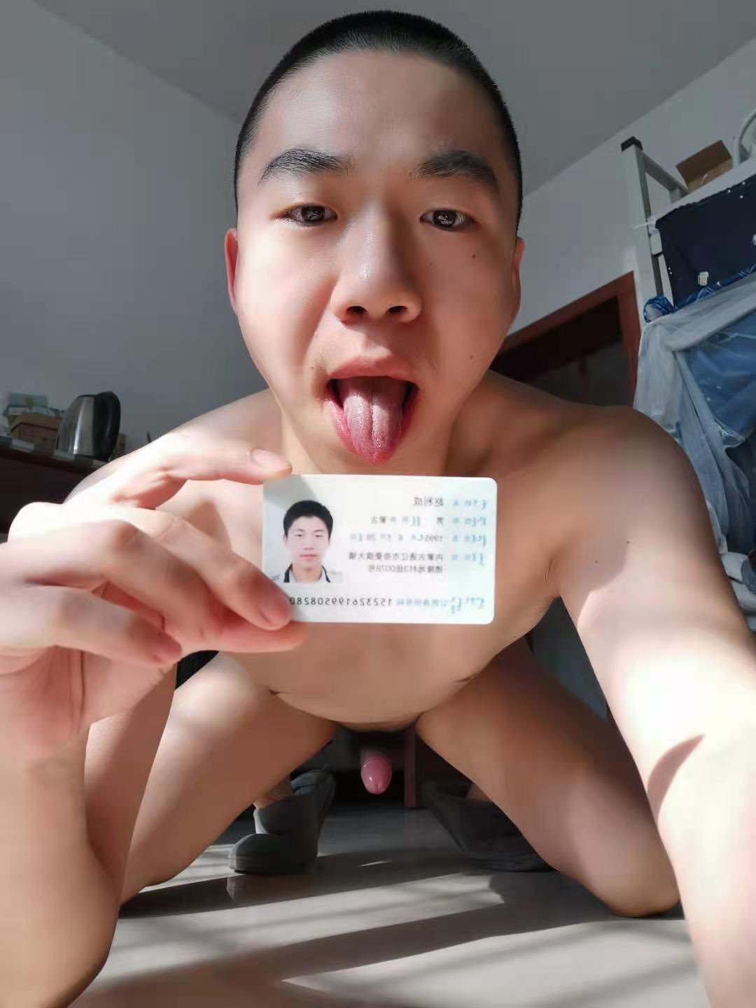 gay stu