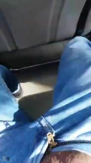 Big cock on the bus 1
