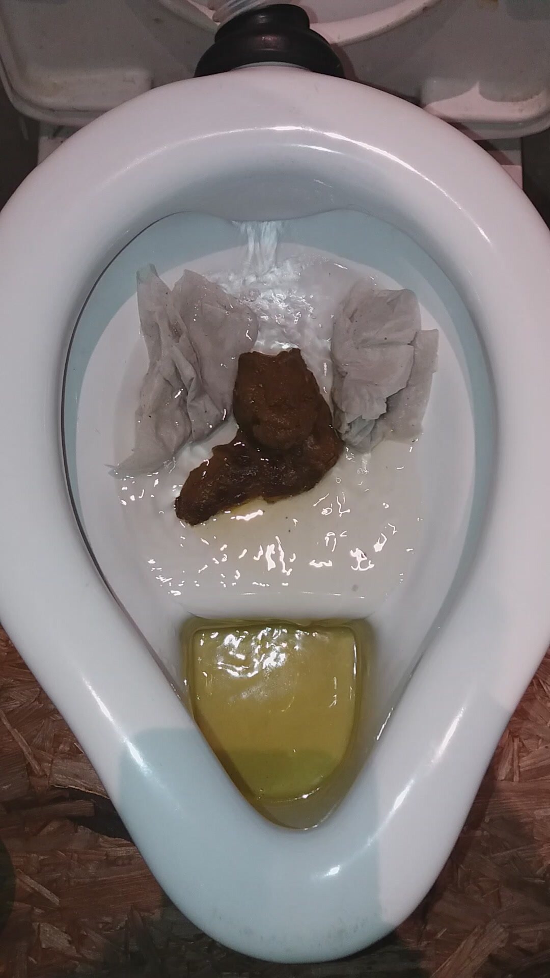 Flushed poop