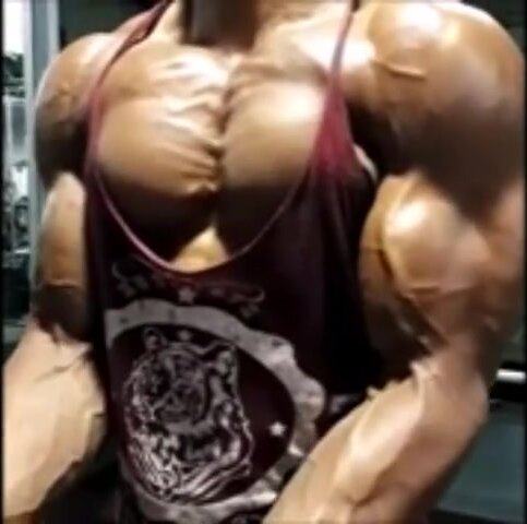 Ripped biceps and pecs