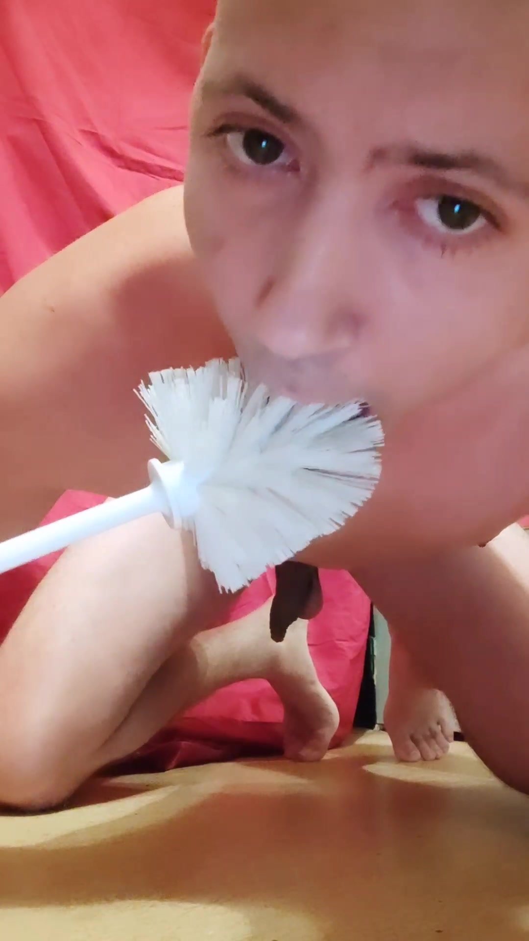 fag loser lick toilet brush