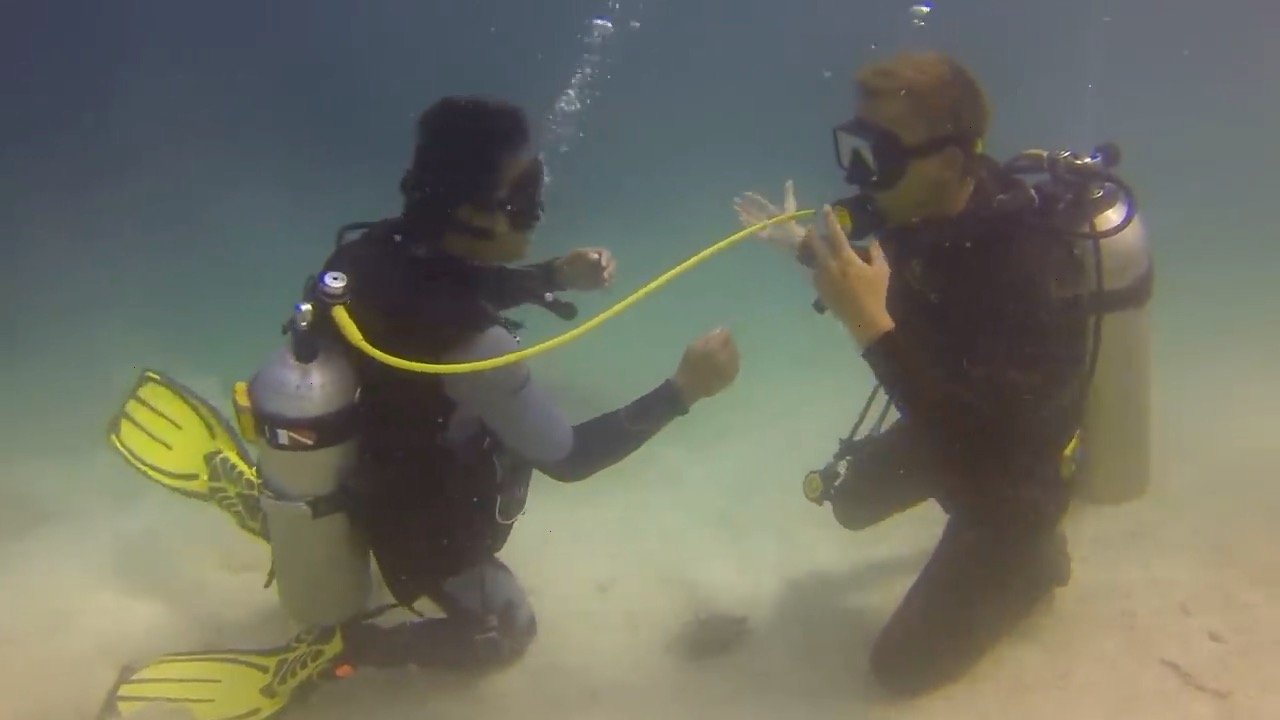Scuba Mickey Mouse Porn - Scuba Divers Buddy Breathing Equipment Exchange - ThisVid.com
