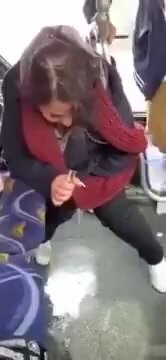 Girl pisses on public bus