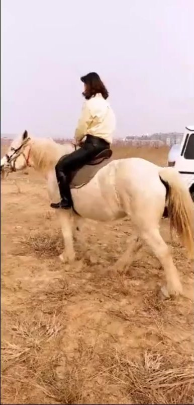 horse riding mistress