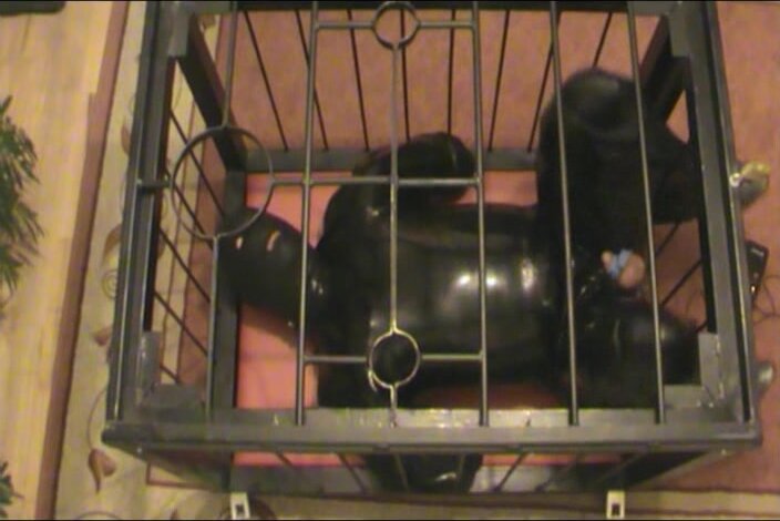 The Rubberpet in a cage