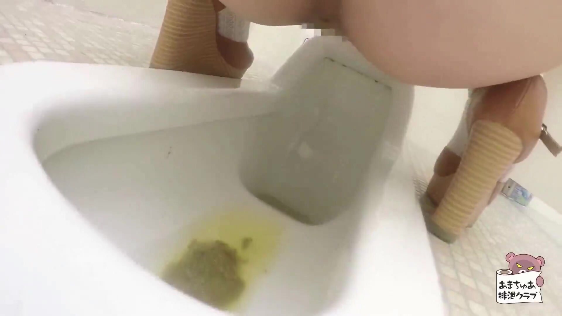Japanese Ladies Poop Voyeur - video 16