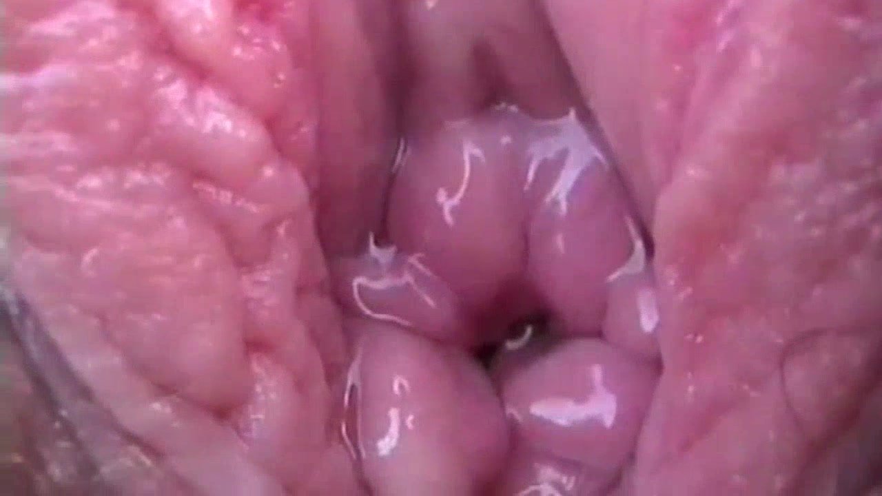 Do you like our genitals in close-up porn?