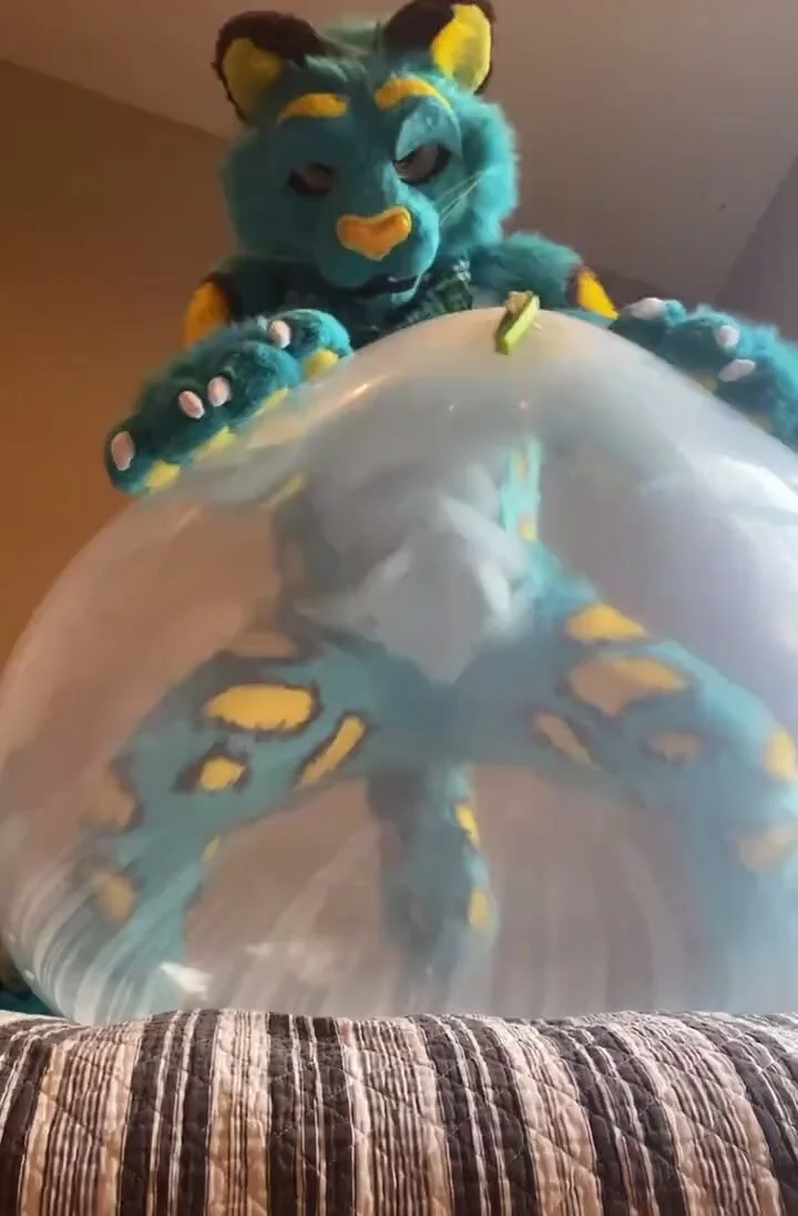 Lion humps a balloon - ThisVid.com