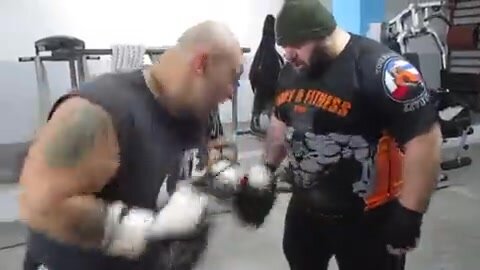 Bear gut punch training
