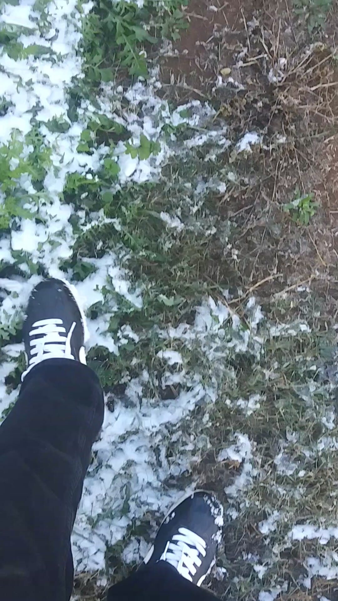 Cortez snow stomp