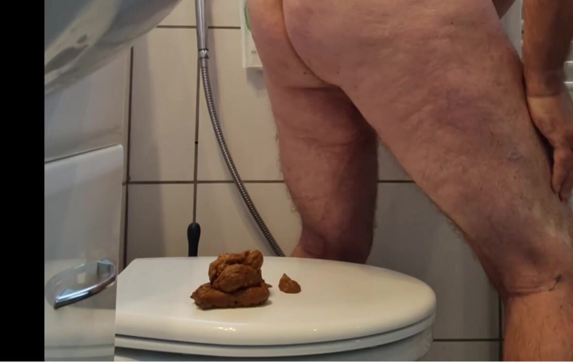Poop on toilet seat - video 3