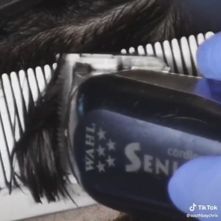 Long hair - video 5