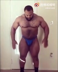 Muscle Bull Posing