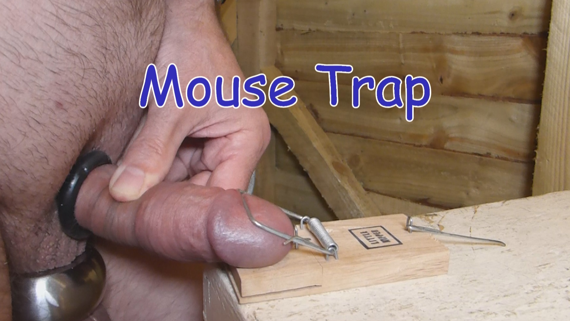 CBT - Mouse Trap