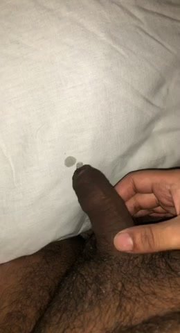 Indian chub pissing in a cup