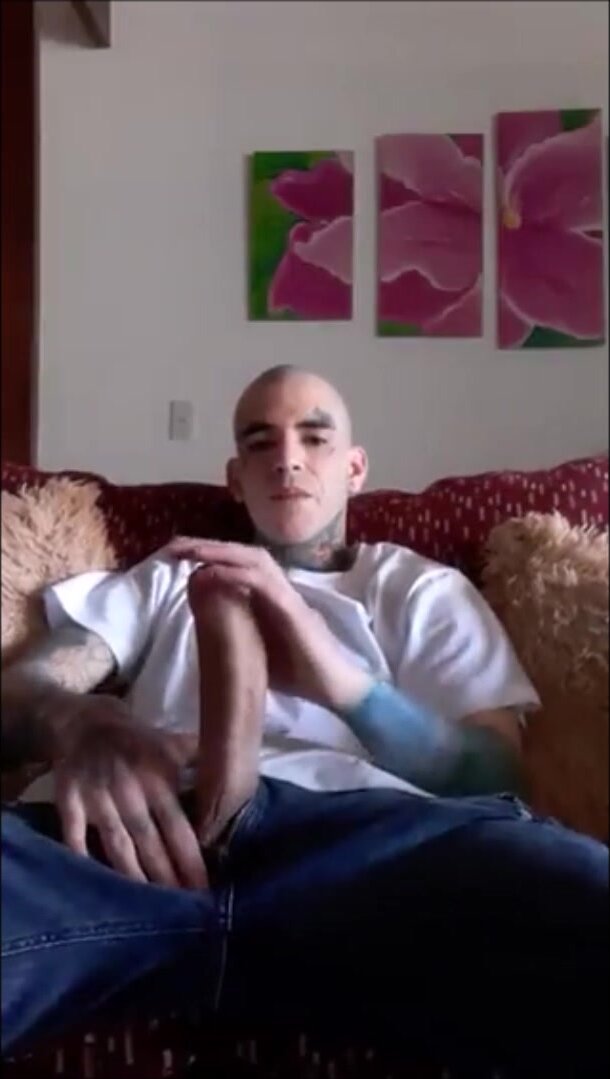 pollon - video 2