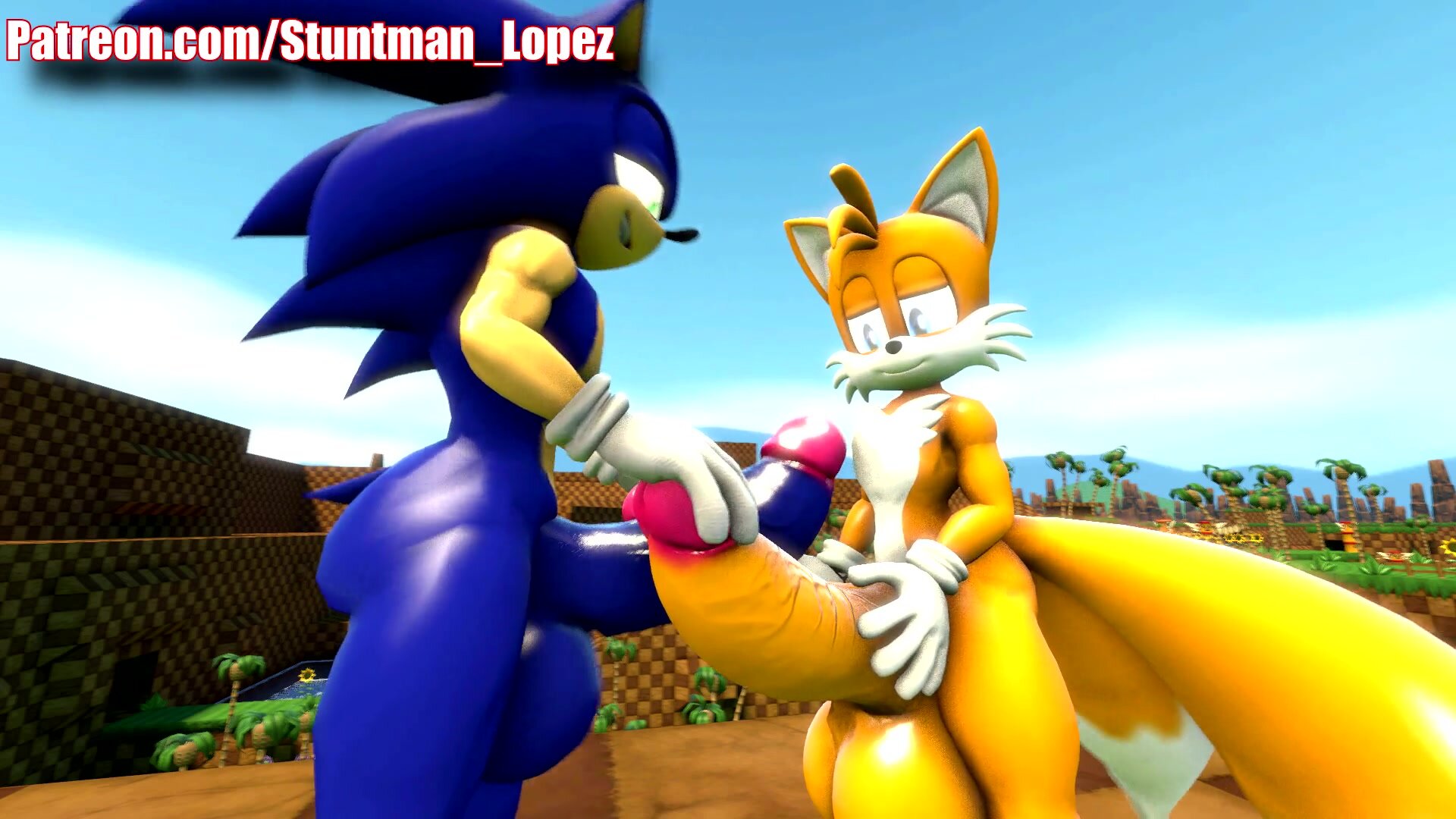 Sonic & Tails Frottage