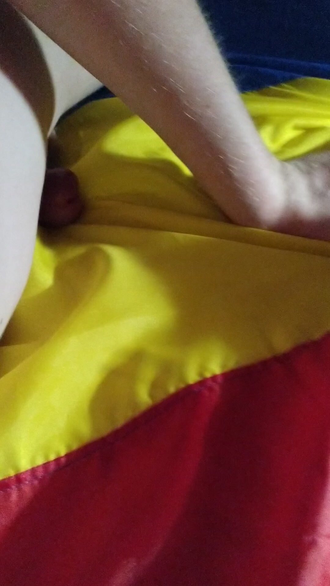 Romania flag wanking 3