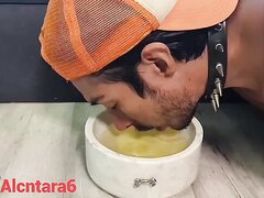latino sub drinks piss out of a dogbowl
