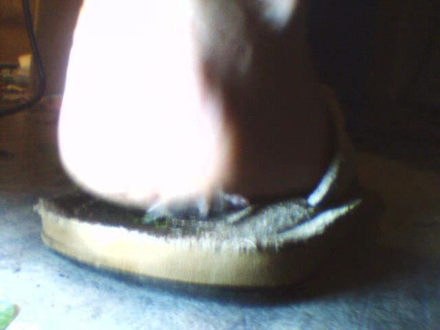 Worm  Male Heel in Flip Flp