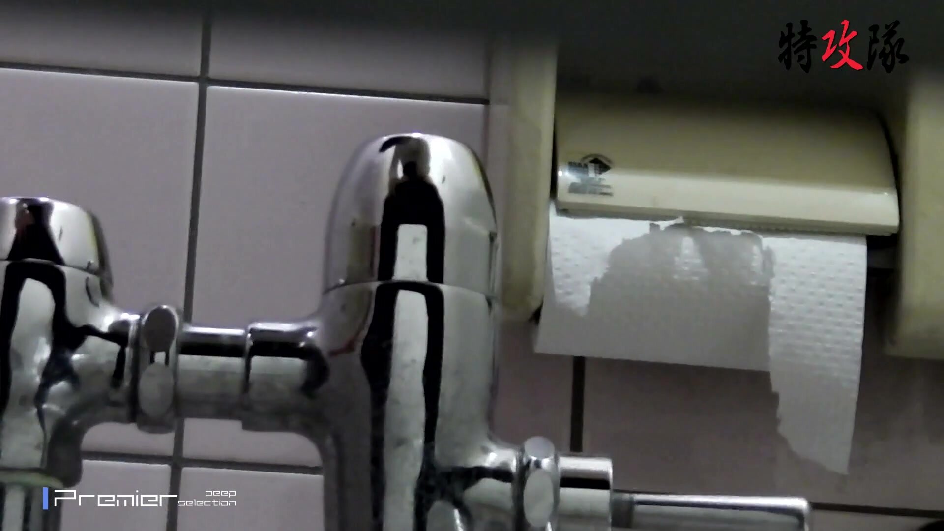 Japanese Ladies Toilet Voyeur - video 119