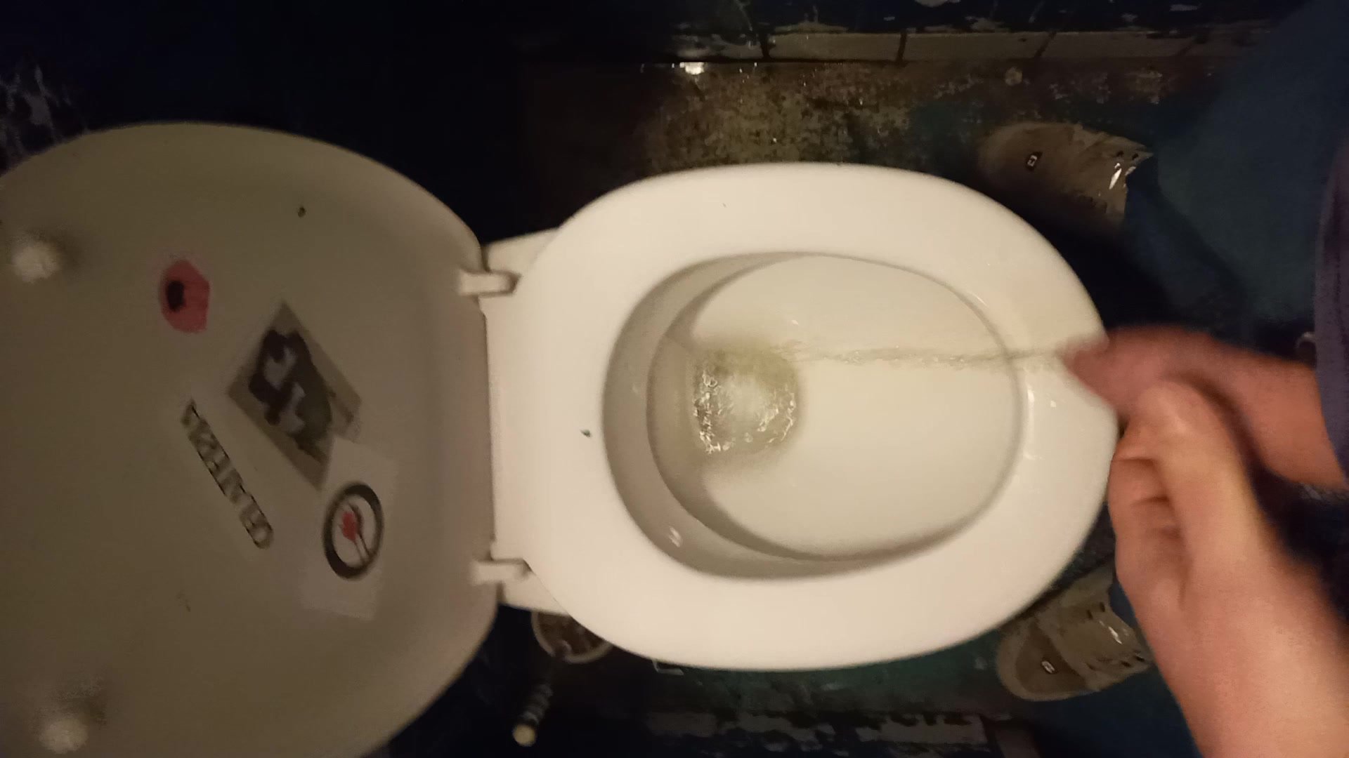 pissing on bar toilet