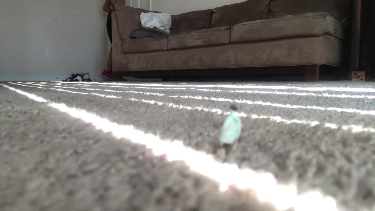 giant crush - video 3