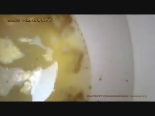 Farting in toilet - video 3