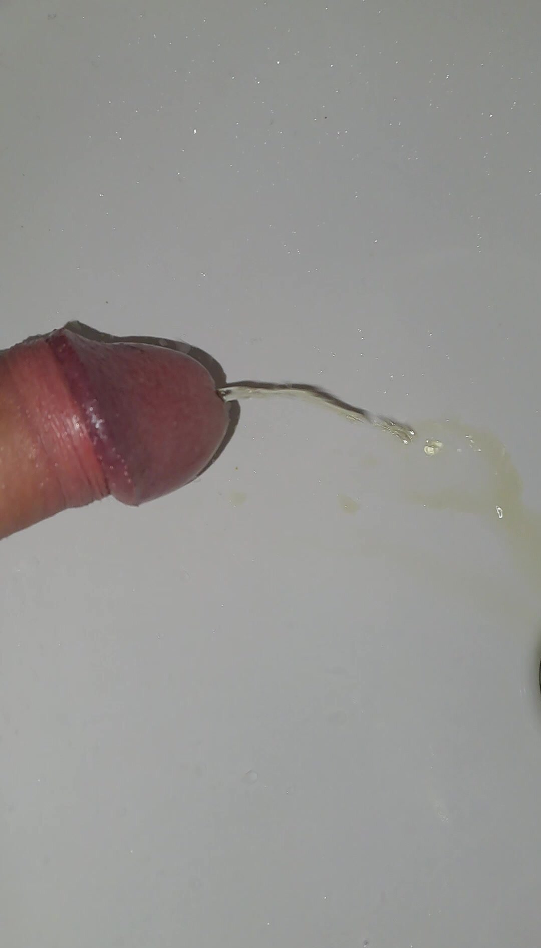 Morning boner pee