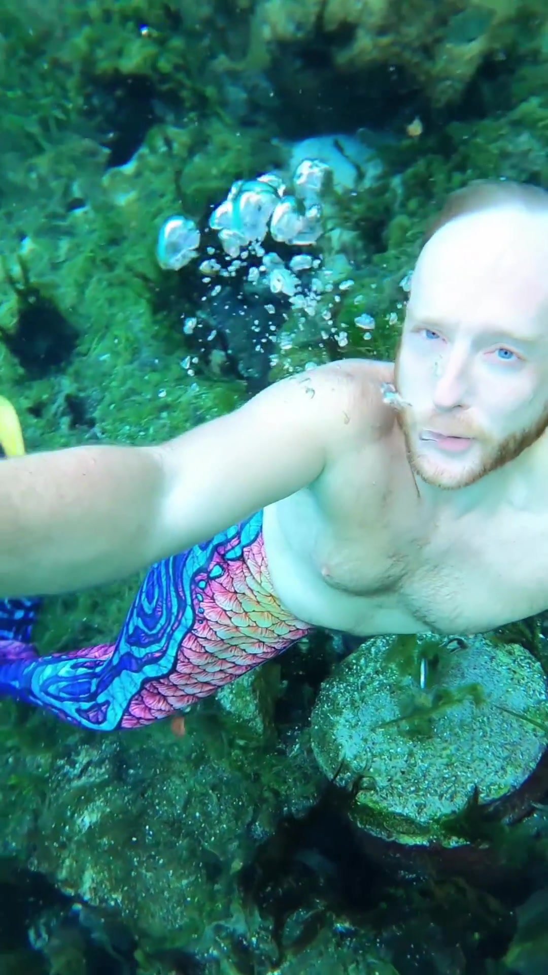 Underwater barefaced redhead merman - video 3