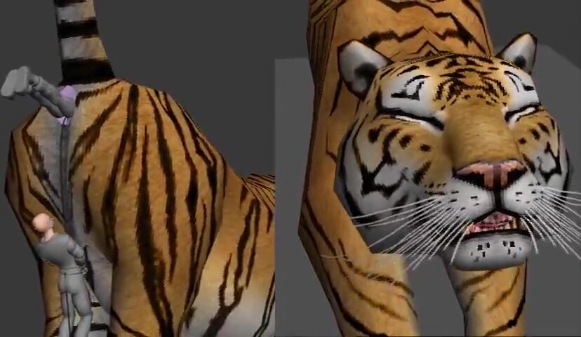 Tiger anal vore - video 2