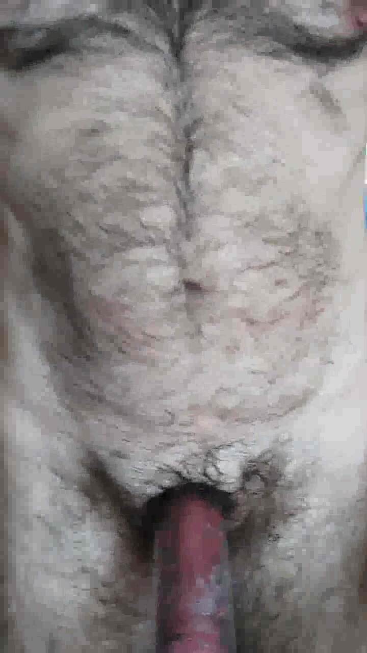 Pompbite