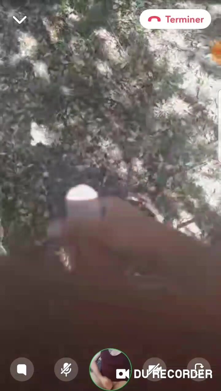 french army solo in the woods