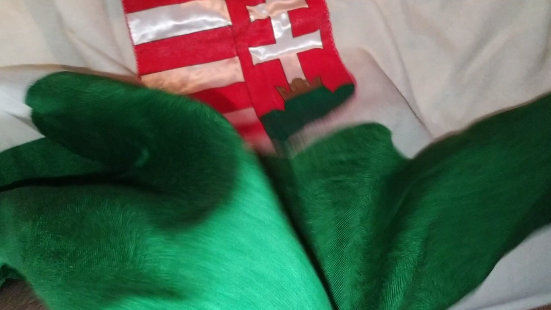 Hungary flag 2