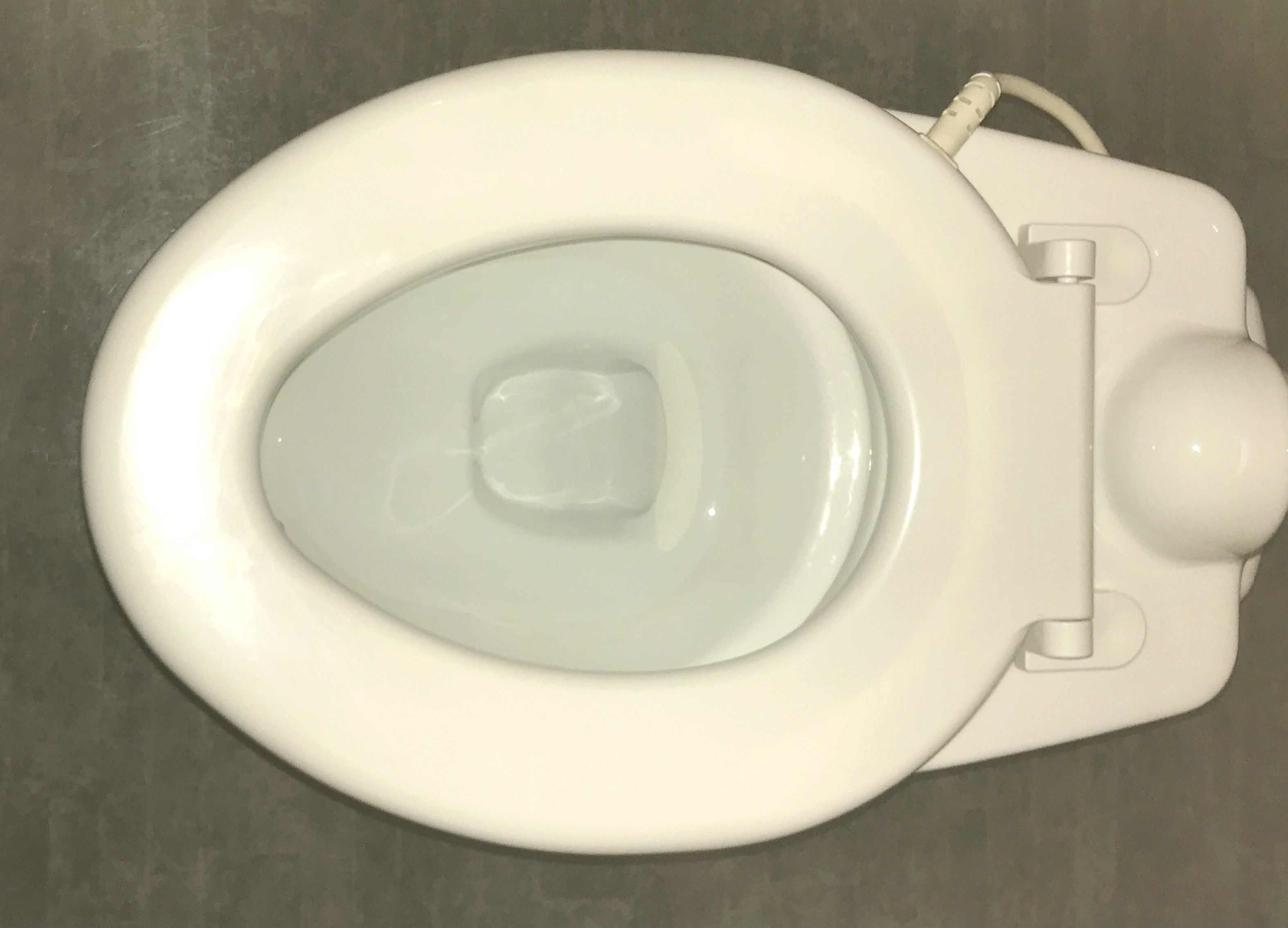 poop and flush in the kids toilet
