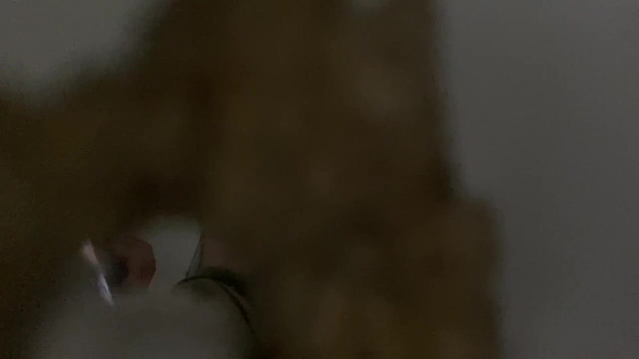Small dick - video 22