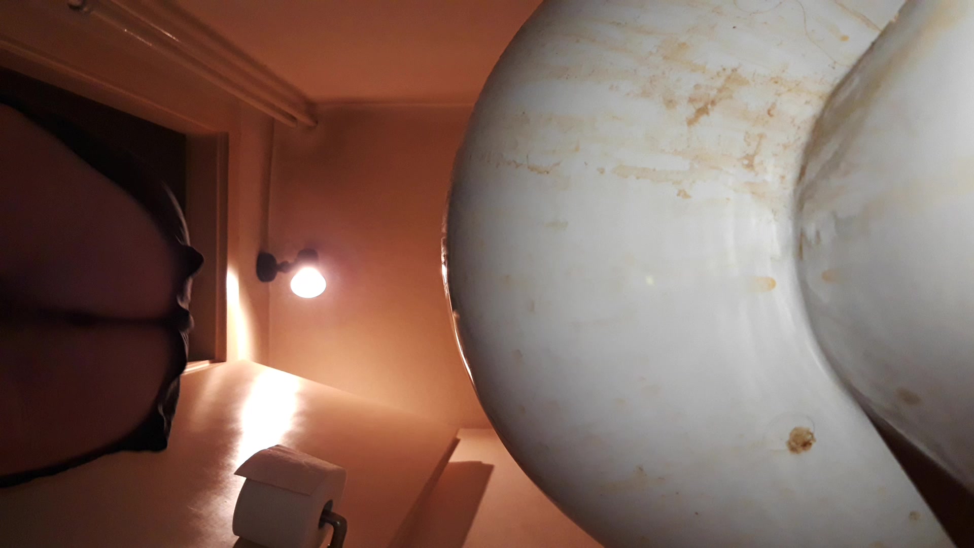 toilet side view