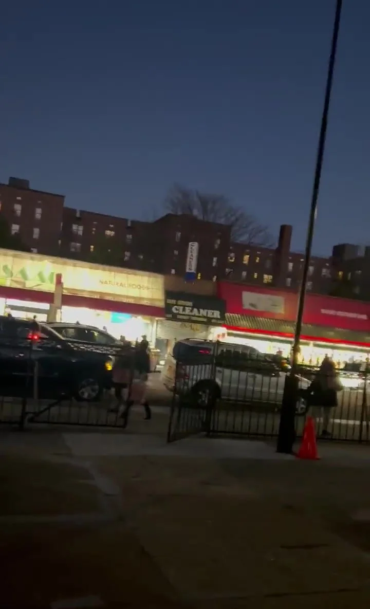 Ebony films herself peeing on busy Brooklyn NY street