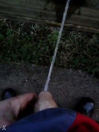 Peeing against a fence