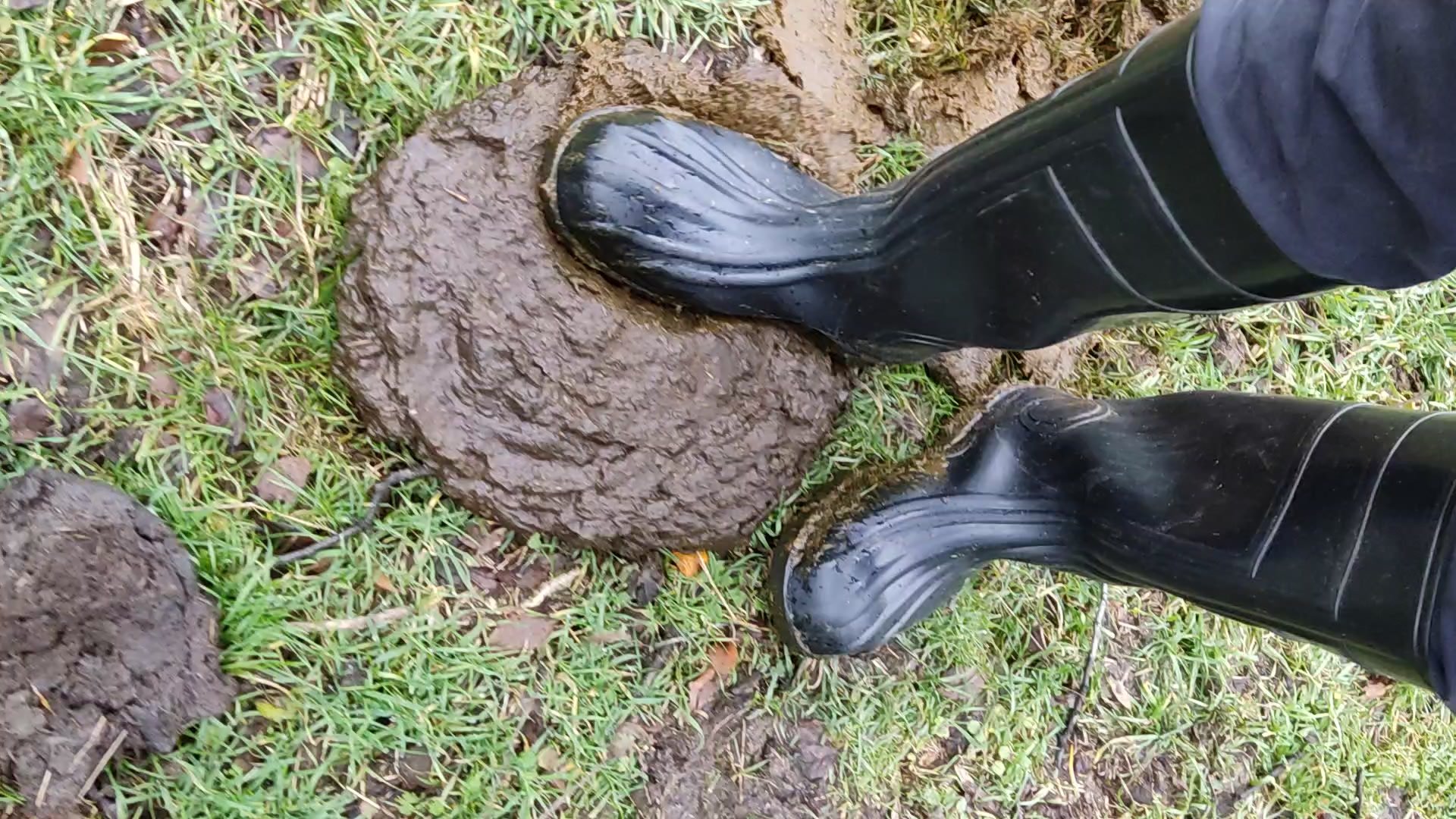Rubber boots vs cowshit - video 48