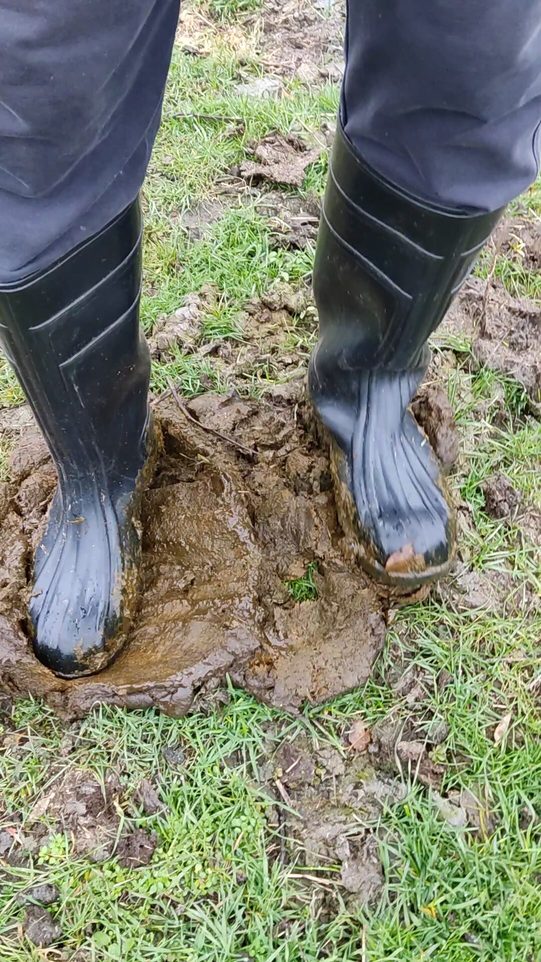 Rubber boots vs cowshit - video 49